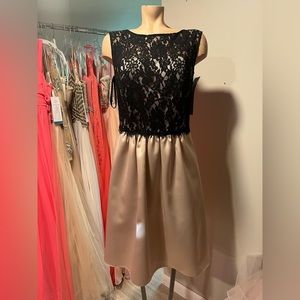 Size 10 Black and Palomino Dress with High Lace Neck